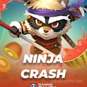 Ninja Crash